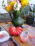 Tomato & Vegetable Heirloom Plants for Sale