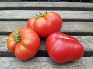 Sasha's Altai Tomato | The Coeur d Alene Coop