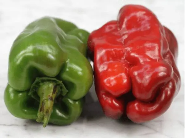 Doux d'Espagne Sweet Pepper