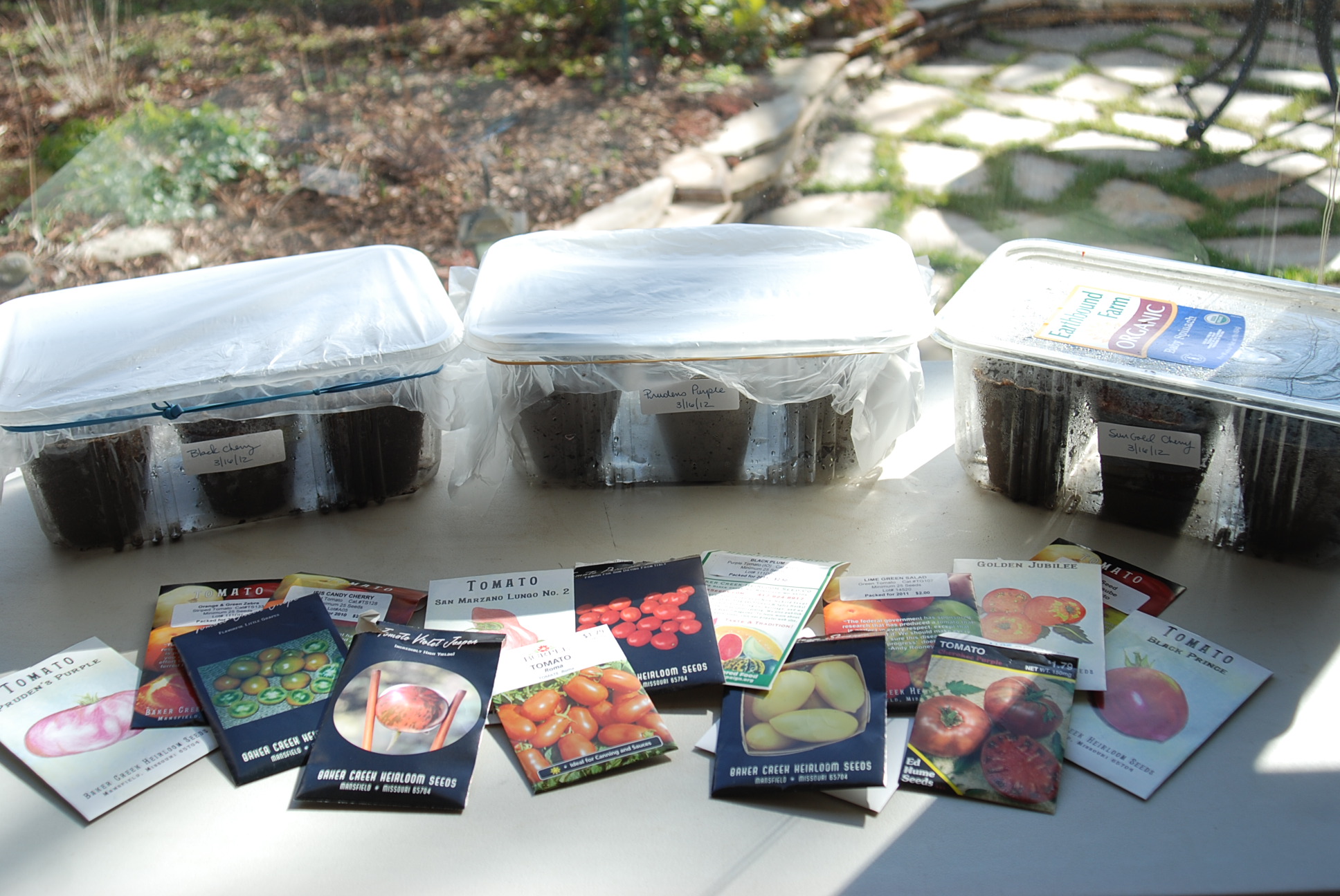 Why You Should Grow Tomato Plants from Seeds