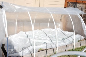 Covered Raised Bed with Row Cover
