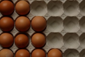 Coeur d'Alene Coop eggs