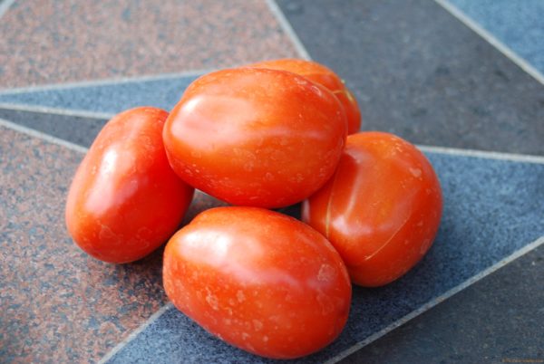 Roma Tomatoes | The Coeur d Alene Coop
