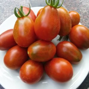 Black Plum Heirloom Cherry Tomato | The Coeur d'Alene Coop