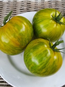 Green Zebra Heirloom Tomato | The Coeur d'Alene Coop