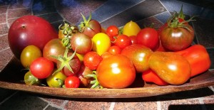 Heirloom Tomatoes | The Coeur d'Alene Coop