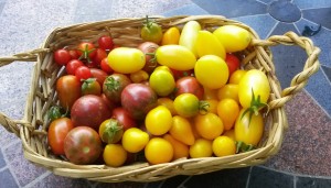 Heirloom Cherry Tomatoes | The Coeur d Alene Coop
