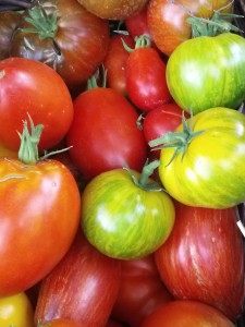 Heirloom Tomato Plants for Sale | The Coeur d'Alene Coop