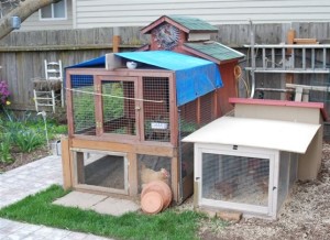 2nd Street Chicken Ranch Coops | The Coeur d'Alene Coop