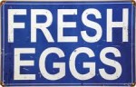 egg sign