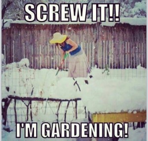 Gardening in the Snow! 