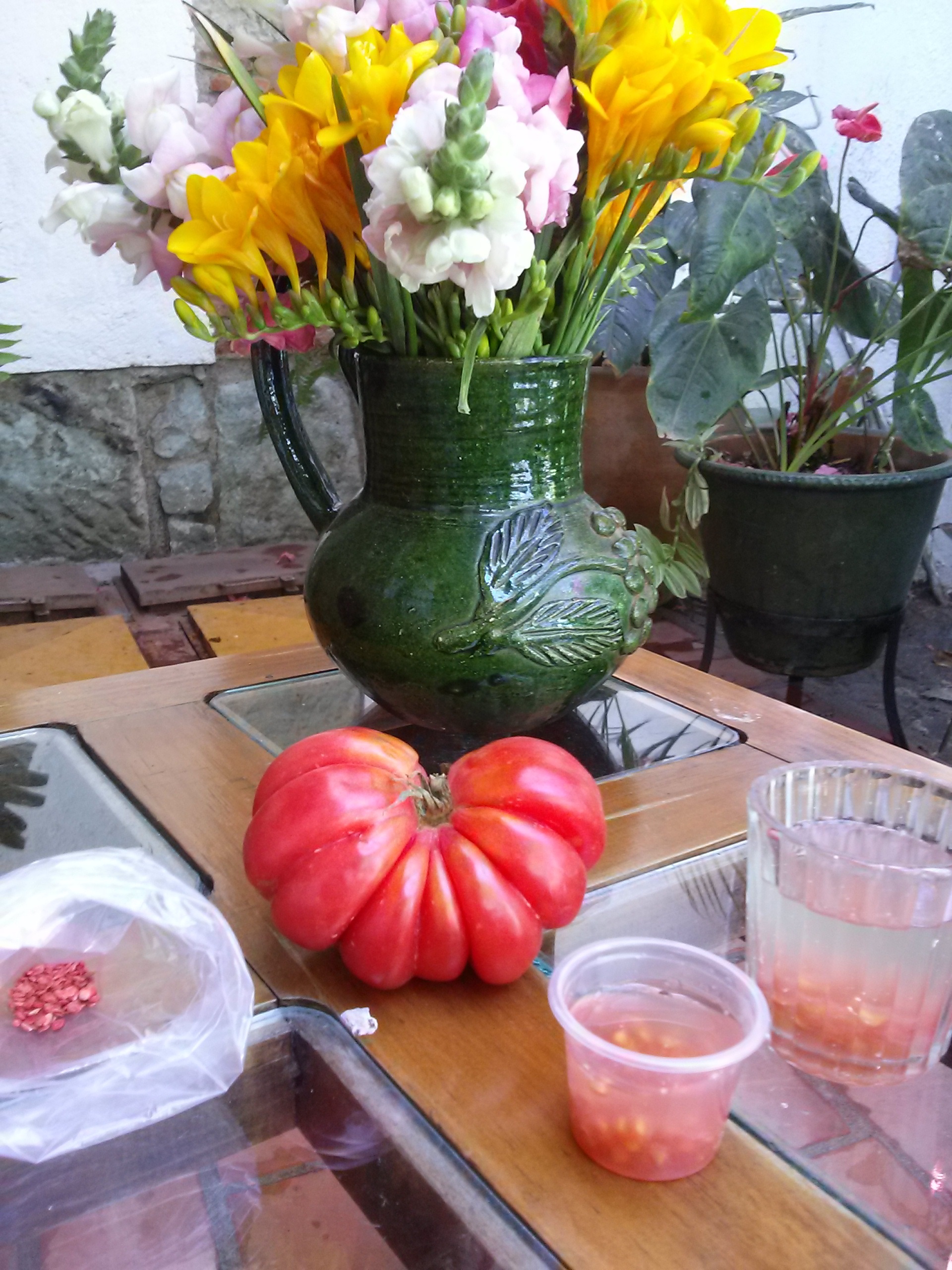 Tomato & Vegetable Heirloom Plants for Sale