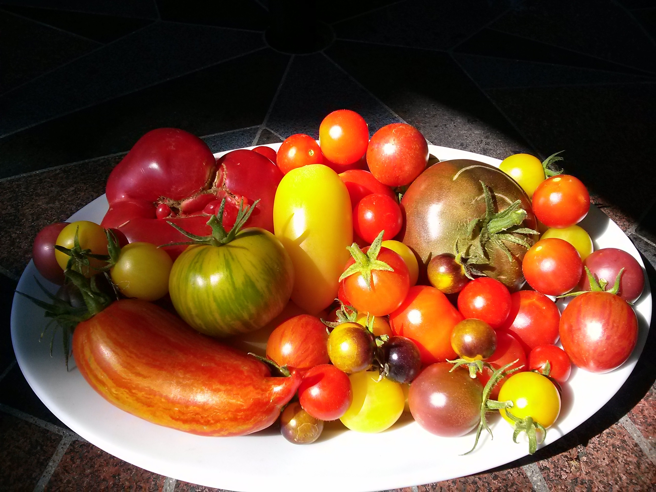 2017 Heirloom Tomato and Vegetable Plant List