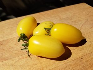 Cream Sausage Tomato | The Coeur d Alene Coop