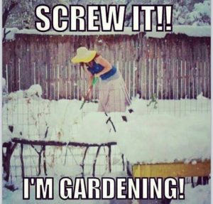 Gardening in the snow | The Coeur d'Alene Coop