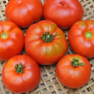 Marmande Heirloom Tomato | The Coeur d Alene Coop