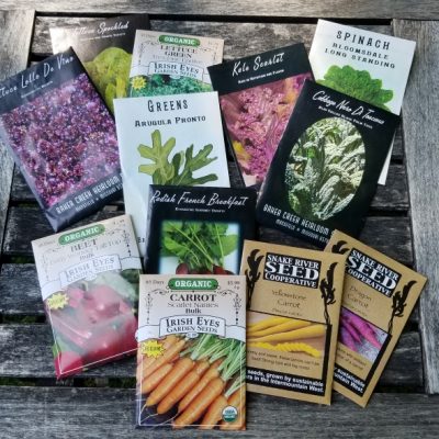 Time to Plant the Fall Garden: My Favorite Fall Picks!