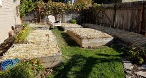Tidy garden put to bed for the winter | The Coeur d Alene Coop