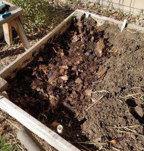 Digging in leaf mold | The Coeur d Alene Coop