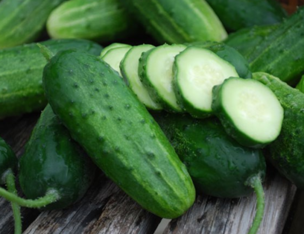 Boston Pickling Cucumber | The Coeur d Alene Coop