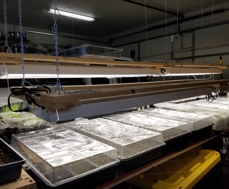 light and humidity dome over seedling trays