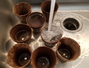 Soak peat pots before using | The Coeur d Alene Coop