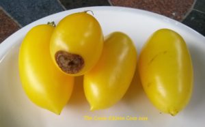 Blossom end rot in Roma type tomatoes | The Coeur d Alene Coop