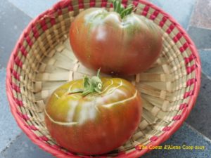Concentric cracking in tomatoes | The Coeur d Alene Coop