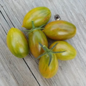Lucky Tiger Cherry Tomato | The Coeur d Alene Coop