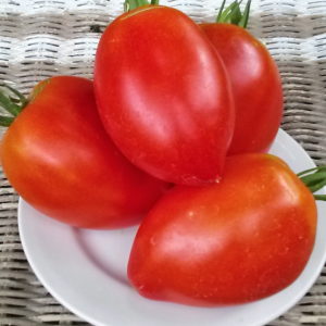 Amish Paste Tomato | The Coeur d Alene Coop