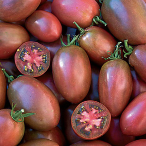 Ukrainian Purple Heirloom Tomato | The Coeur d'Alene Coop