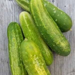 Straight 8 Cucumber | The Coeur d Alene Coop
