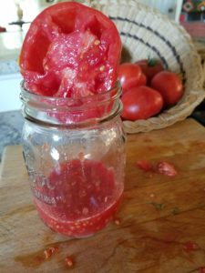 Saving tomato seeds | The Coeur d'Alene Coop