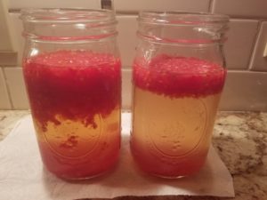 Fermenting tomato seeds