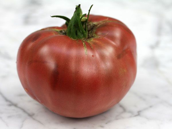 Cherokee Purple Tomato | The Coeur d Alene Coop