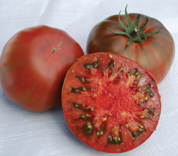 Paul Robeson Tomato | The Coeur d Alene Coop