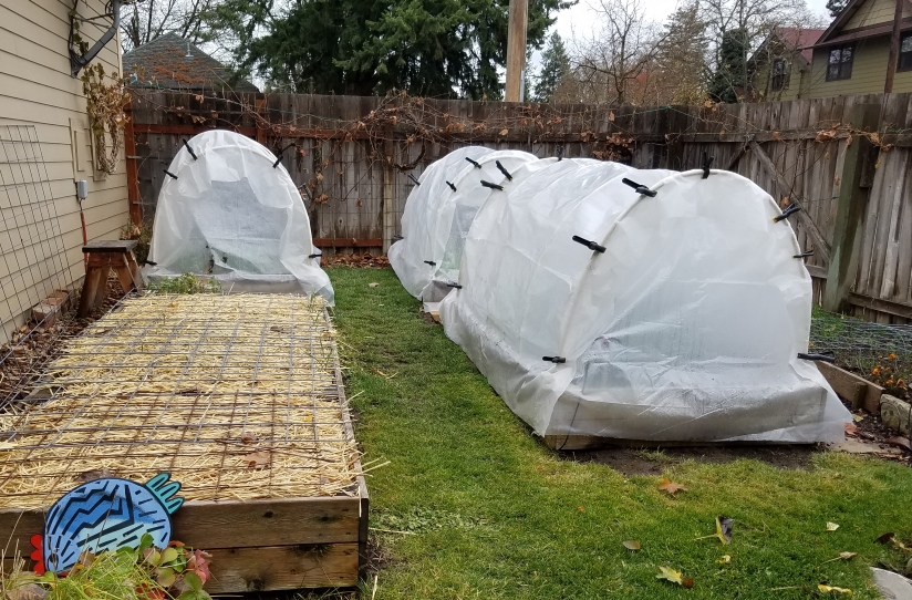 Hoop House Low Tunnel Greenhouse for Season Extension and Winter Gardening 