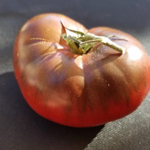Black Brandywine Heirloom Tomato | The Coeur d Alene Coop