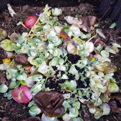 Compost in the Fall Garden: Why It’s Important