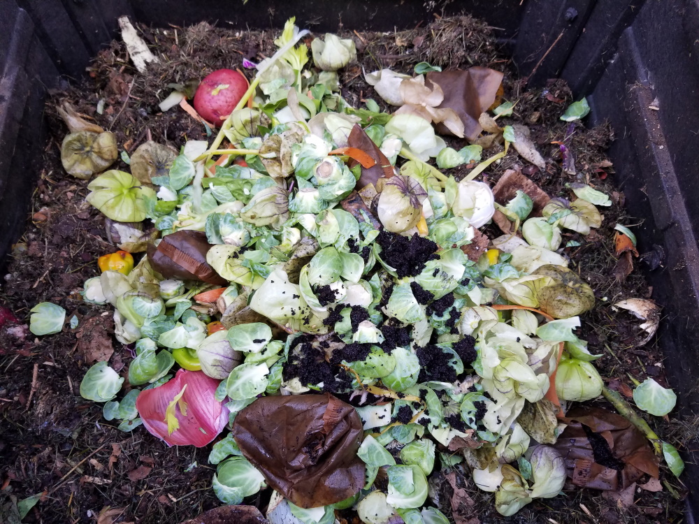 Kitchen scraps in the compost bin | The Coeur d Alene Coop