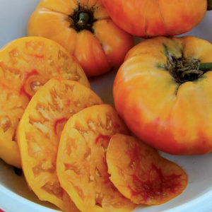 Gold Medal Heirloom tomato | The Coeur d Alene Coop