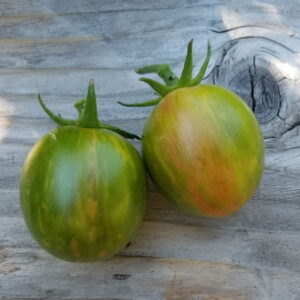 Green Bumble Bee Cherry Tomato | The Coeur d Alene Coop