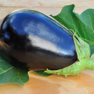 Eggplant, Black Beauty | The Coeur d Alene Coop