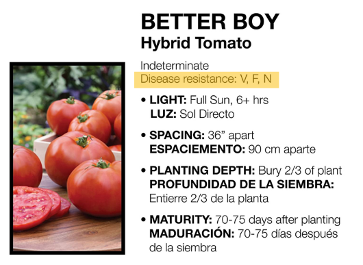 Disease resistant tomato plant tag | The Coeur d Alene Coop