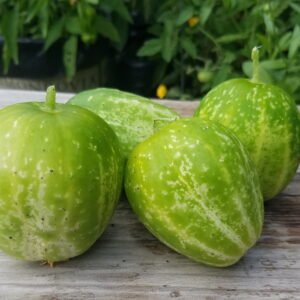 green apple cucumber | The Coeur d Alene Coop