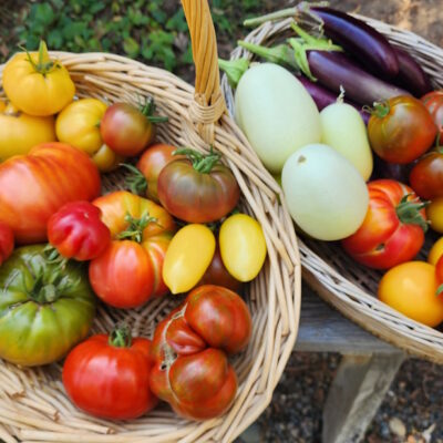 Six Timely Harvest Tips Ripe for the Picking