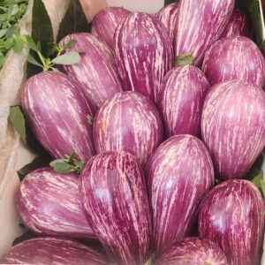 Eggplant Listada di Gandia