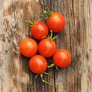Cherry, Grape & Currant Tomatoes