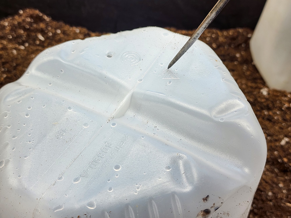using an awl to punch holes in the bottom of a recycled milk jug for winter sowing