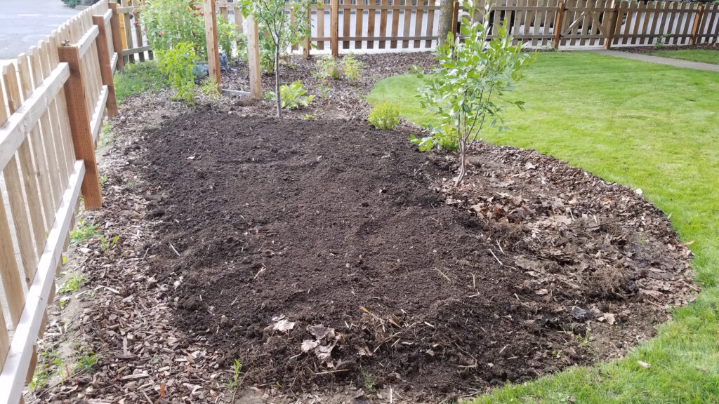 spreading compost on the garden